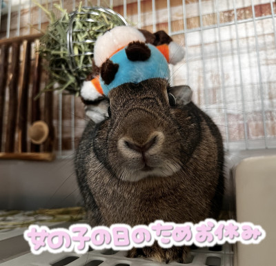 しおんの写メ